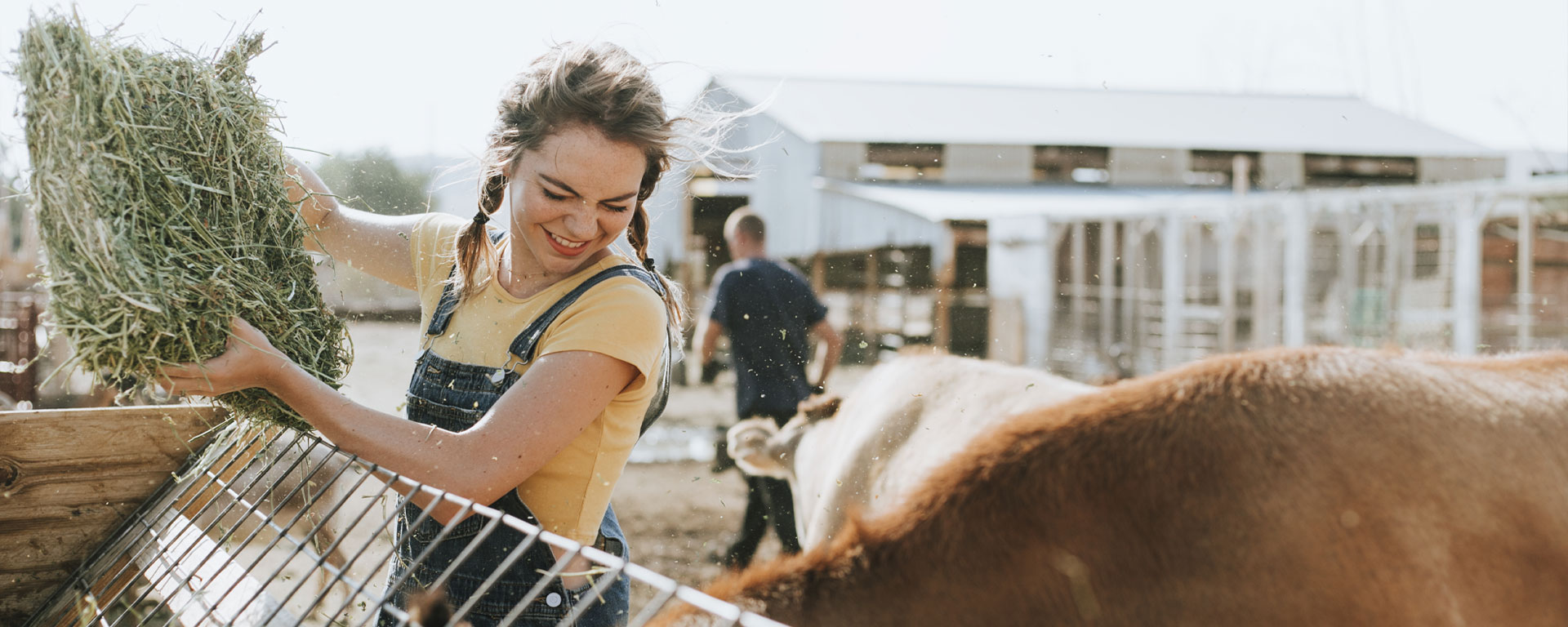 Everyone on the farm