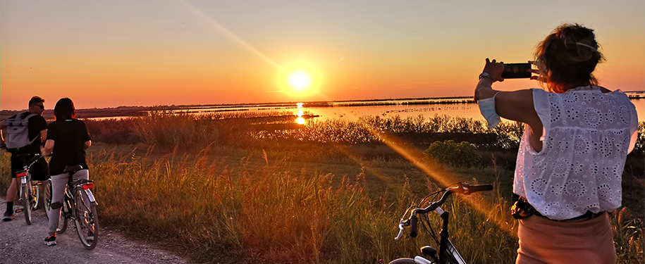 Ring-route cycling tour through nature